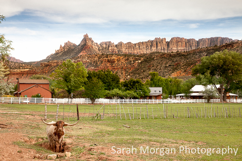 Arizona and Utah road trip