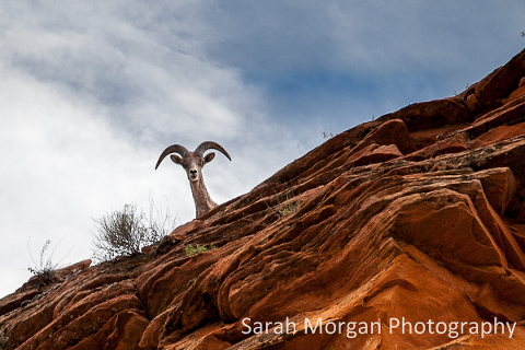 Arizona and Utah road trip
