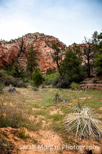Arizona and Utah road trip