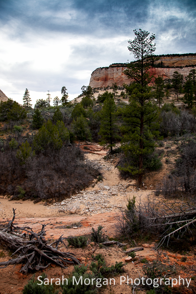 Arizona and Utah road trip