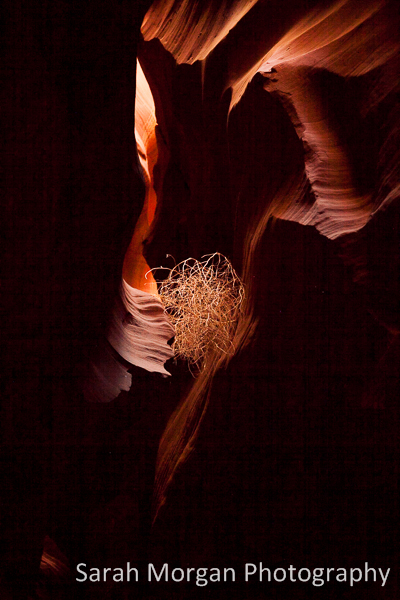 Upper Antelope Canyon