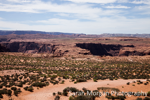 Horseshoe Bend
