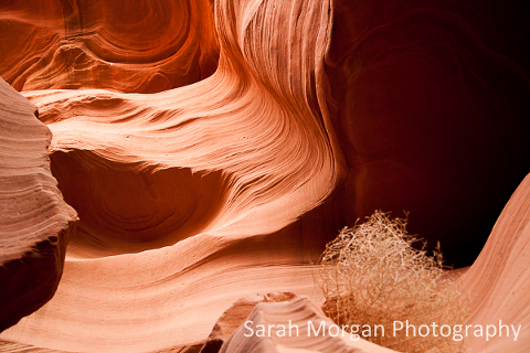 Lower Antelope Canyon