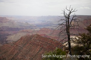 Grand Canyon National Park
