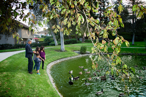Family-feeding-ducks-in-park-Tarsa