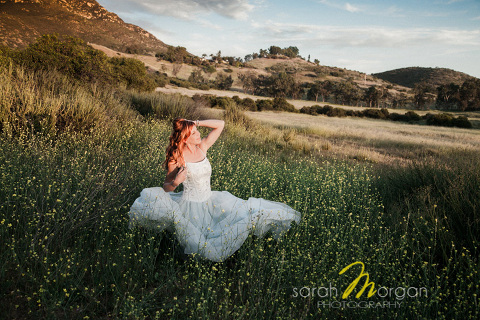 Beautiful B.J. in a field